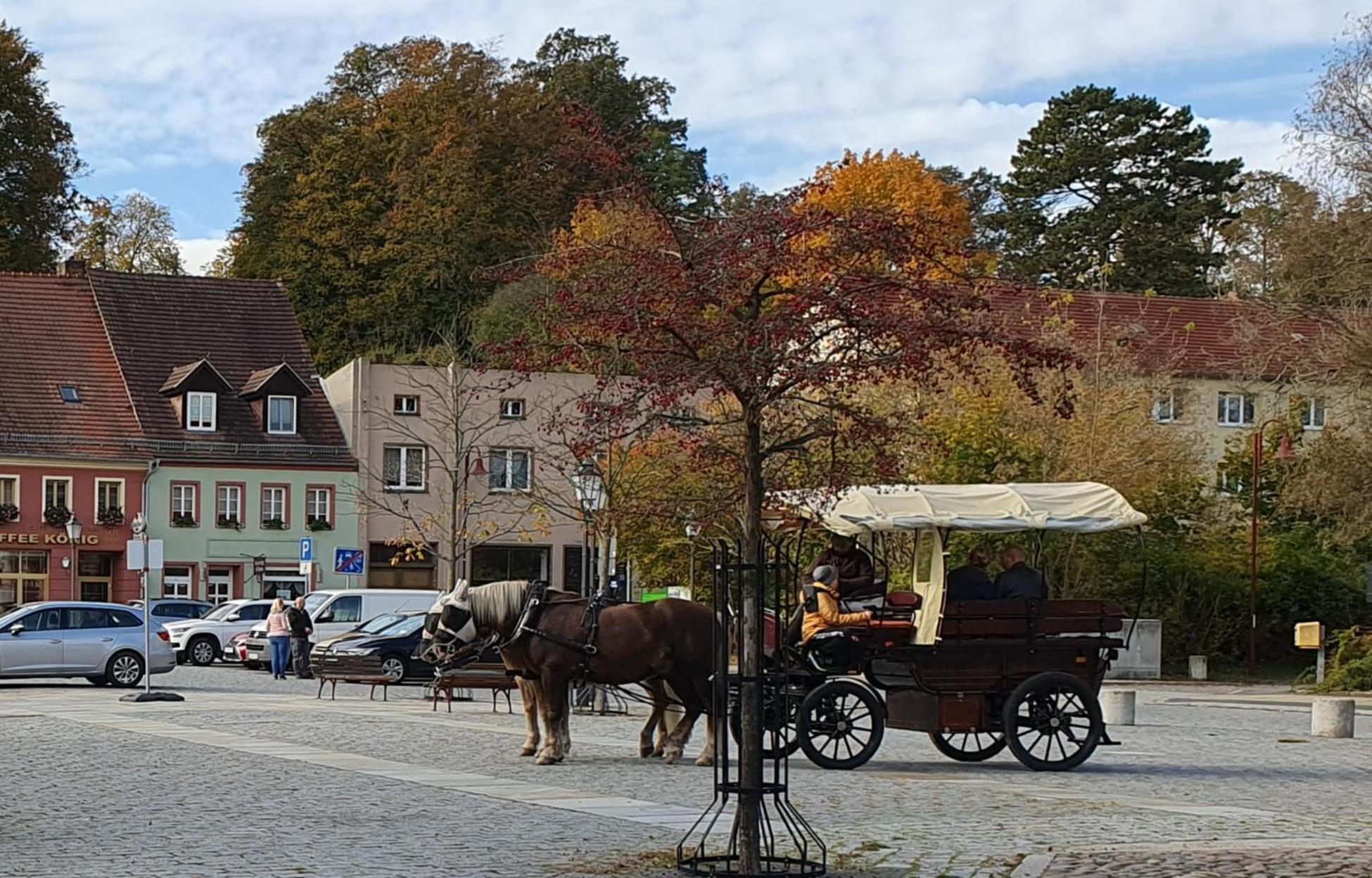 Gruener Fuerst Mit Sitzecke Im Innenhof & Naehe Park & Erdgeschoss
